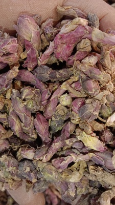 款冬花250g500g农家自种花苞咳嗽