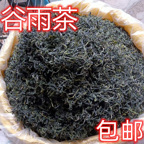 新鲜绿茶谷雨本地特级嫩叶500g