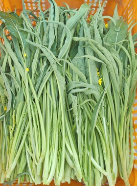 柳叶菜花三月花广西桂林霜打甜菜花绿色蔬菜入肝孕妇食品包邮