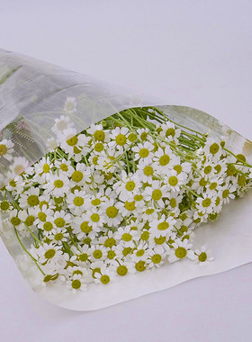 云南昆明鲜花花材基地斗南花市