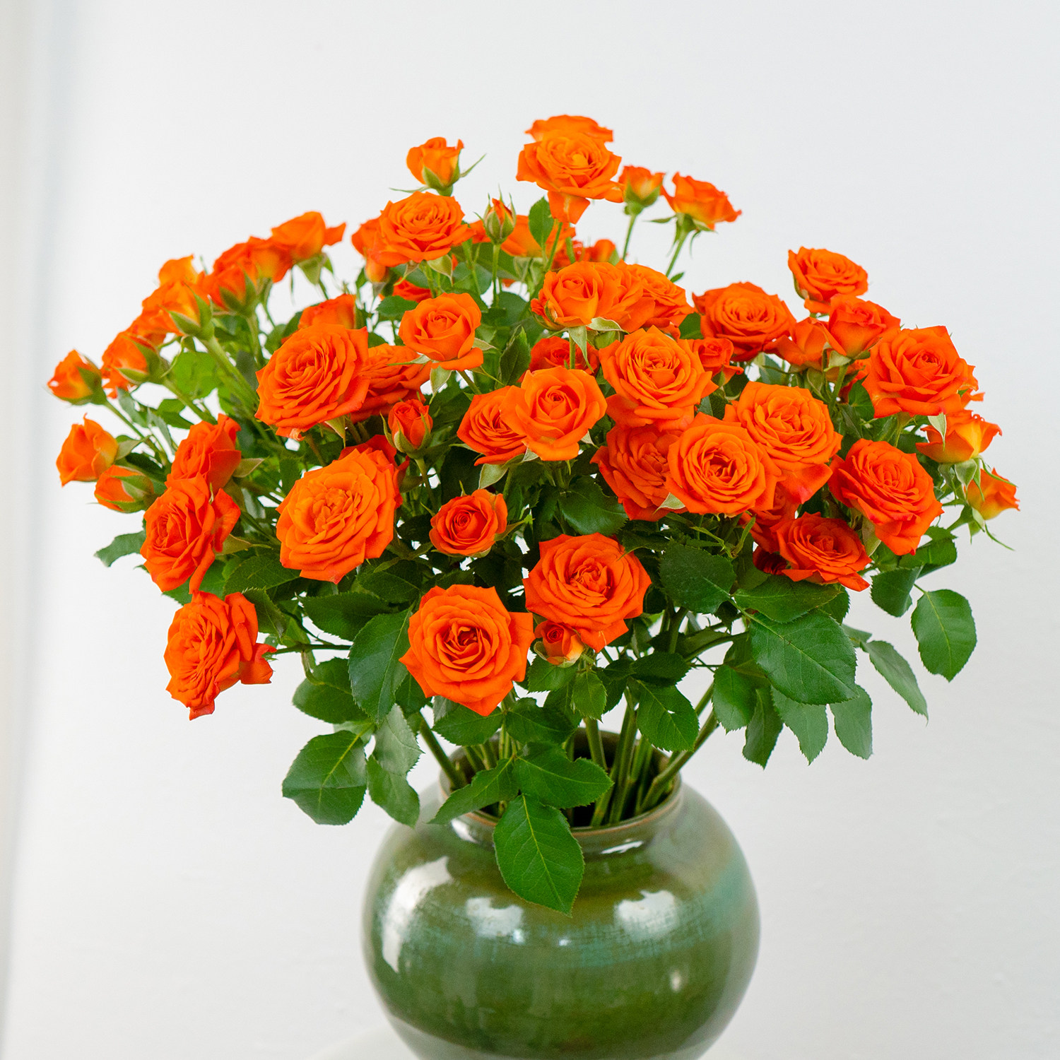 多头玫瑰鲜花橙芭比泡泡云南基地直发水养鲜切花真花优质鲜花,鲜花速递/花卉仿真/绿植园艺,花材,淘宝优惠券,粉丝福利购,淘宝优惠卷