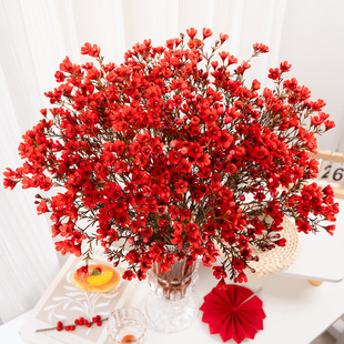 红色腊梅冬青朱顶红康乃馨年红红火火宵花花束鲜花云南基地直发