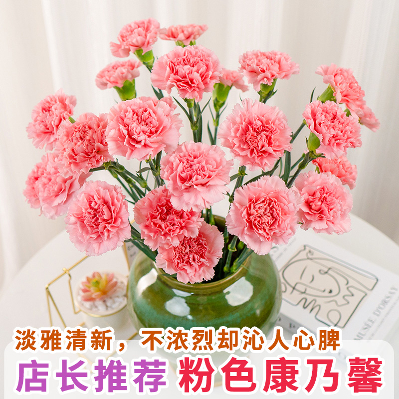康乃馨鲜花云南基地直发鲜切花真花母亲节教师节花束家用水养插花