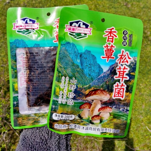 野生松茸菌川西阿坝特产开袋即食