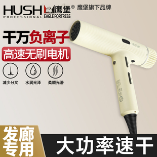 正品 鹰堡赫旋600吹风机负离子大功率静音发型师专用造型电吹风筒