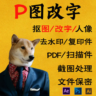 专业p图改字无痕修改ps去水印PDF信用文件改字证照精修人像工程图