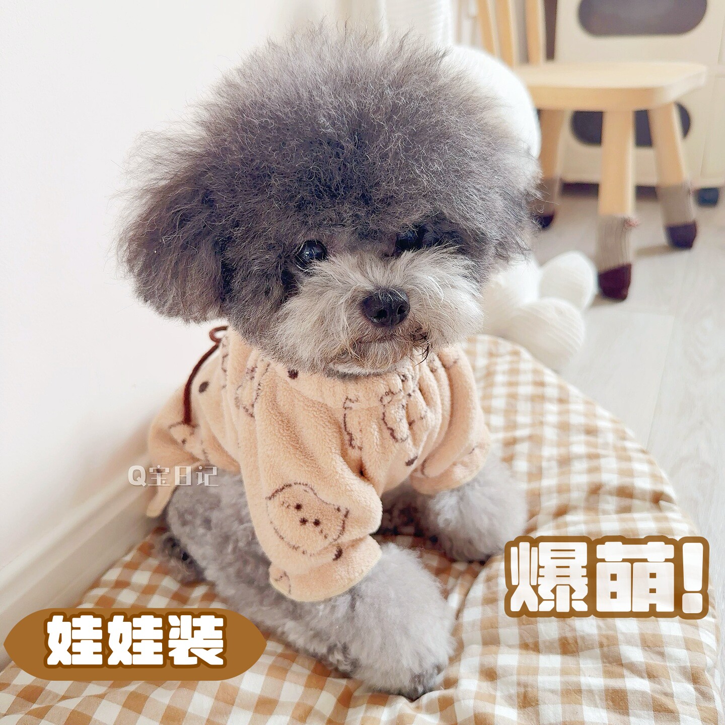 比熊猫泰迪博美狗狗宠物衣服秋冬装家居服可爱牵引绳韩版碎花卡通