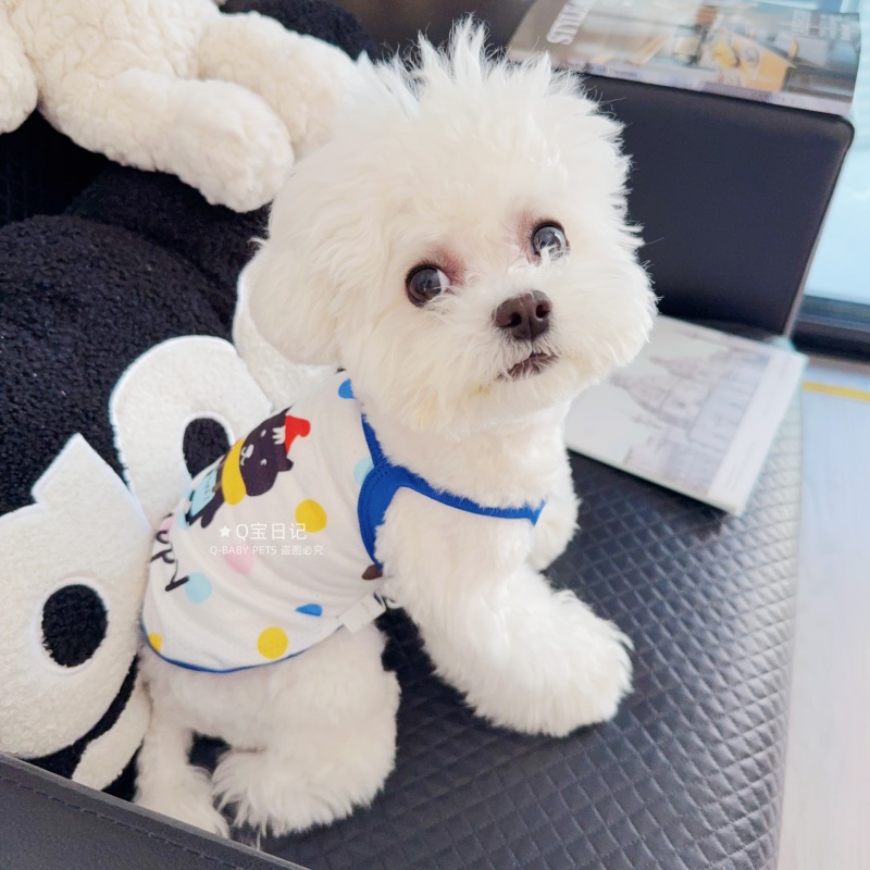 新品！冰丝吊带背心七彩可爱宠物猫咪比熊泰迪狗狗衣服春夏装