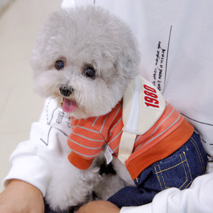 潮酷背包四脚衣 秋冬季 秋装 宠物熊雪纳瑞小型犬泰迪狗狗衣服冬装