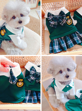 宠物比熊猫咪泰迪狗狗衣服春夏春秋连身裙子母狗情侣装公狗T恤