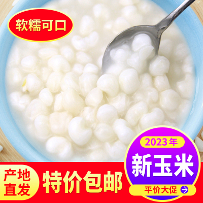 新货广西忻城大颗白糯玉米头珍珠玉米粒整粒脱皮碎碴子煲粥杂粮