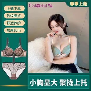 豹纹小胸加厚6972A女士内衣情趣蕾丝聚拢多彩多姿文胸 性感时尚