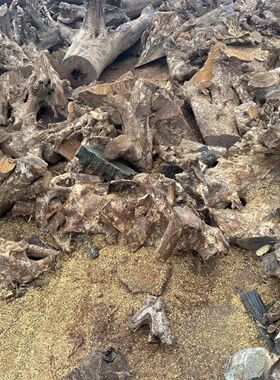 金丝楠木根雕摆件小叶桢楠正宗川料水波纹树头料高山树根料边角料