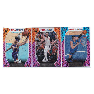 NBA球星卡 乌布雷 贝恩斯 武切维奇 爆炸折射帕尼尼20-21hoops