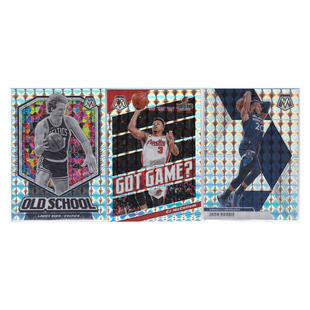 球星卡 拉里伯德 迈克勒姆 奥科吉 格子折射帕尼尼19-20mosaic