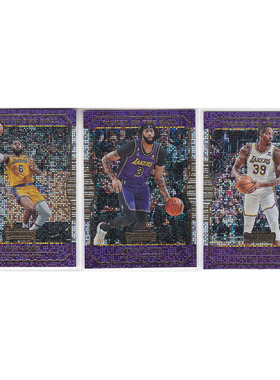 球星卡勒布朗詹姆斯安东尼戴维斯霍华德折射帕尼尼22-23contender