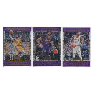 球星卡勒布朗詹姆斯安东尼戴维斯霍华德折射帕尼尼22-23contender