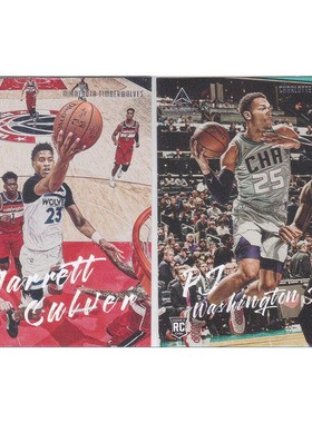 球星卡 卡尔弗 PJ华盛顿 新秀 帕尼尼19-20luminance