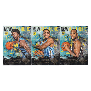 球星卡 小佩顿 加里哈里斯 佩顿 新秀帕尼尼14-15油画