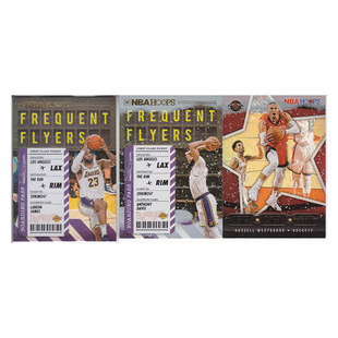 球星卡 勒布朗詹姆斯 戴维斯 威少 雪花折射帕尼尼20-21hoops