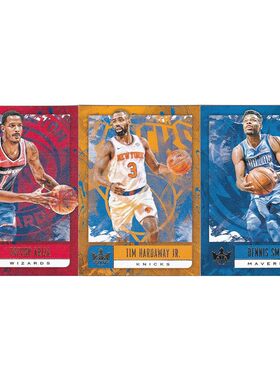 NBA球星卡 阿里扎 蒂姆哈达威 丹尼斯史密斯 panini18-19油画