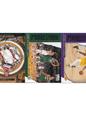 NBA球星卡 安东尼戴维斯 字母哥 比尔帕尼尼20-21hoops