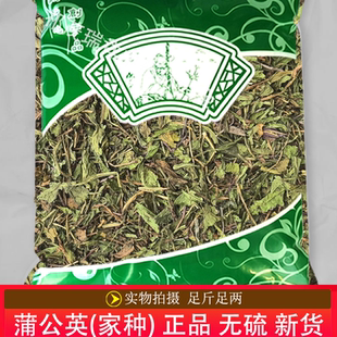 安国中药材市场批 发无硫新货蒲公英1000克 正品 工英 家中 统货