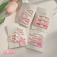 Ранняя весна 12 штук