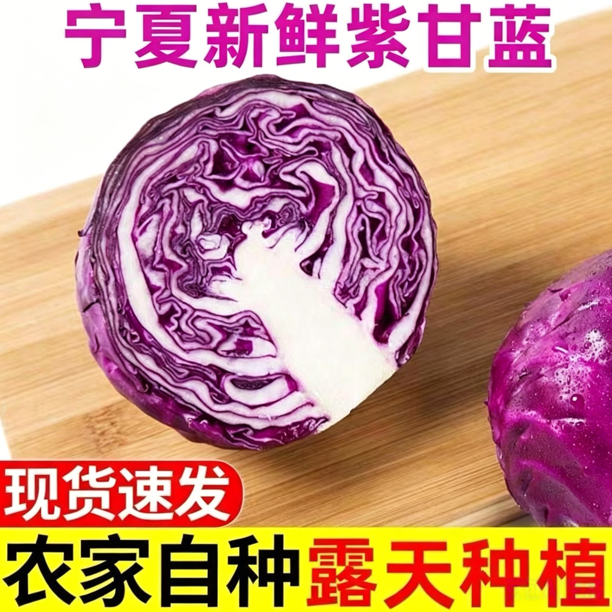 宁夏新鲜现摘露天紫甘蓝蔬菜农家卷紫包菜沙拉椰菜卷心菜凉拌生菜
