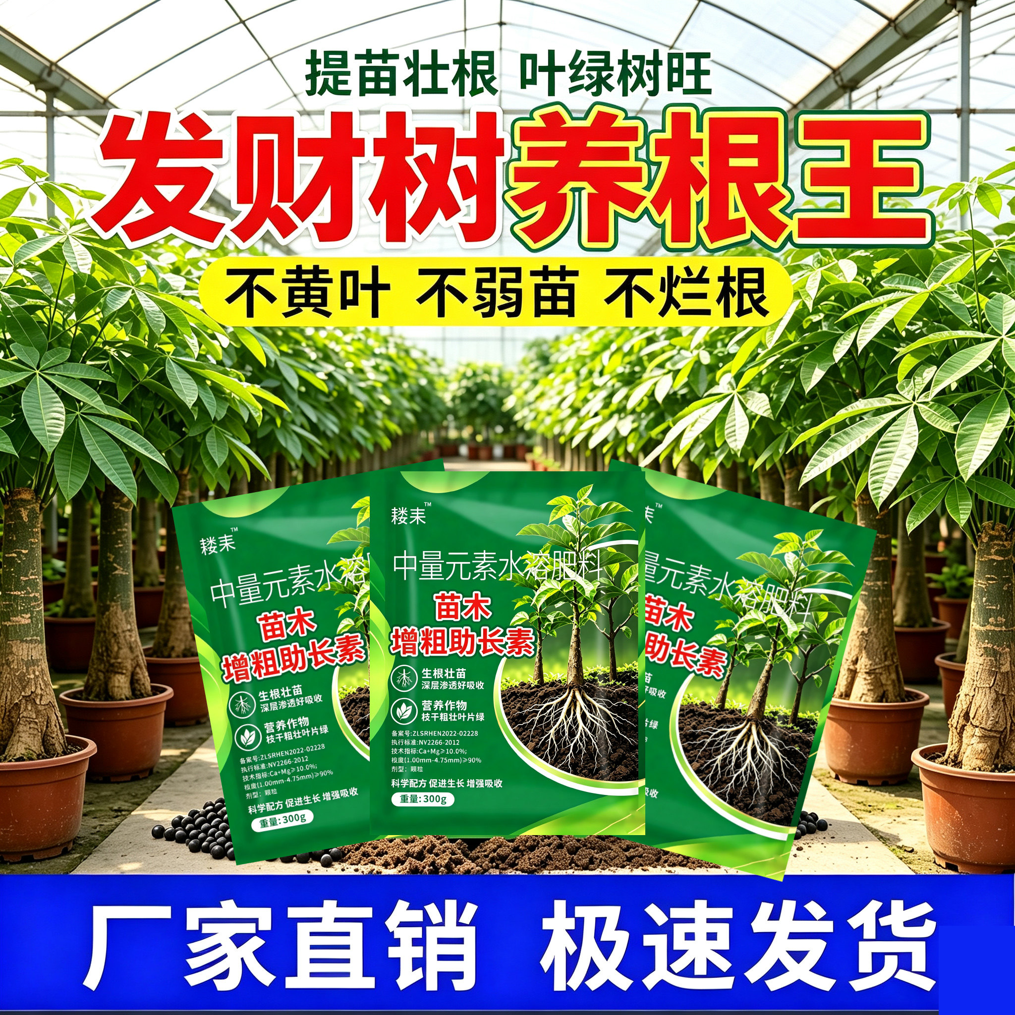 专用肥料发财树树木生长素猛长果树猛长剂提苗爆长壮苗树木快速