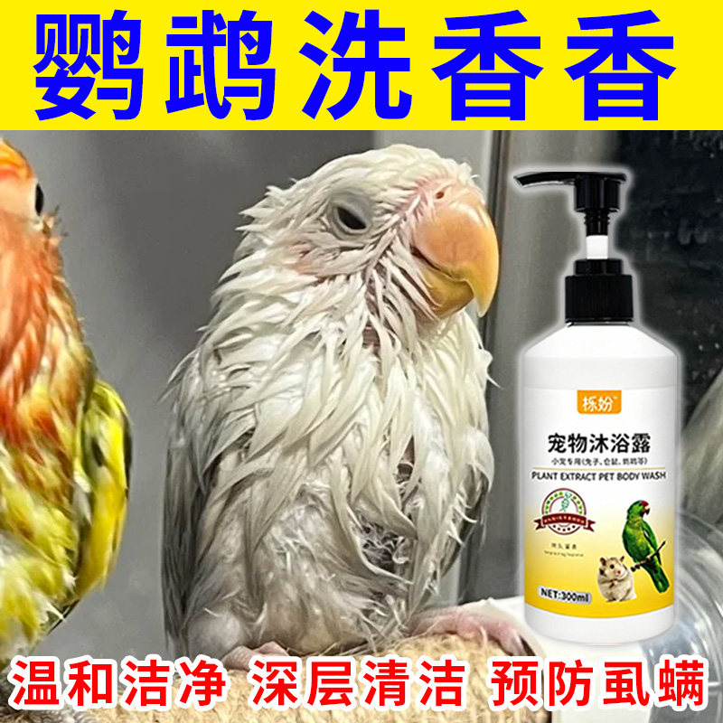 鹦鹉沐浴露除臭专用豚鼠荷兰猪沐浴露抗菌除臭除螨豚鼠洗澡用品