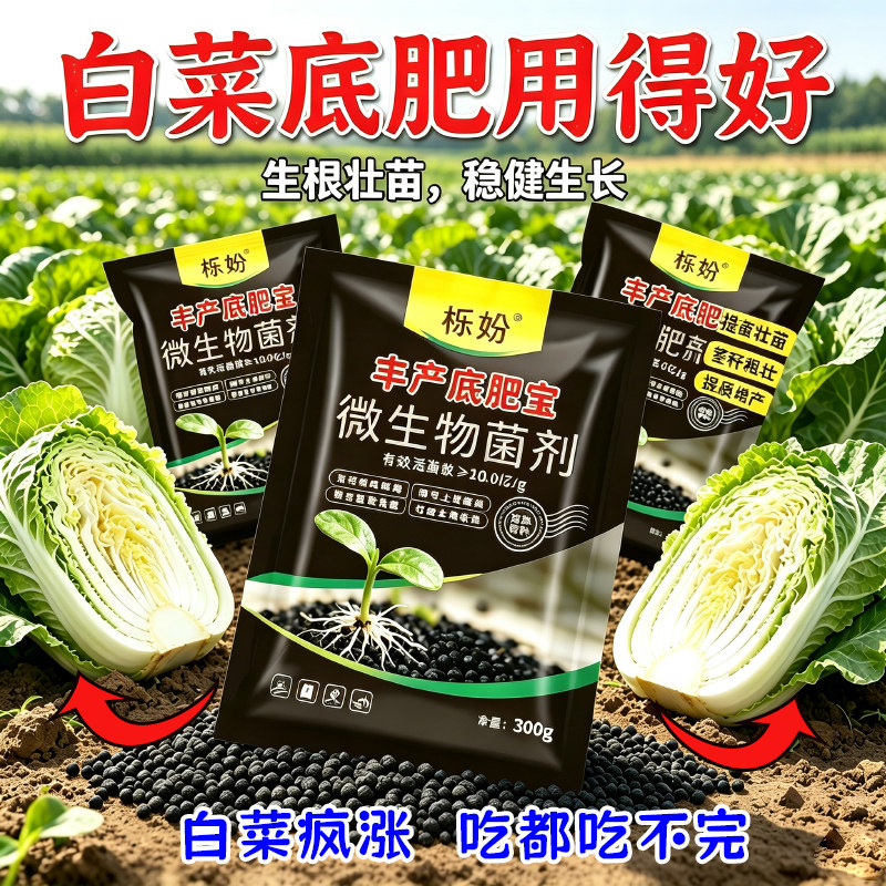 白菜专用肥白菜提苗生根促长营养肥防死苗促生长高产白菜增产肥