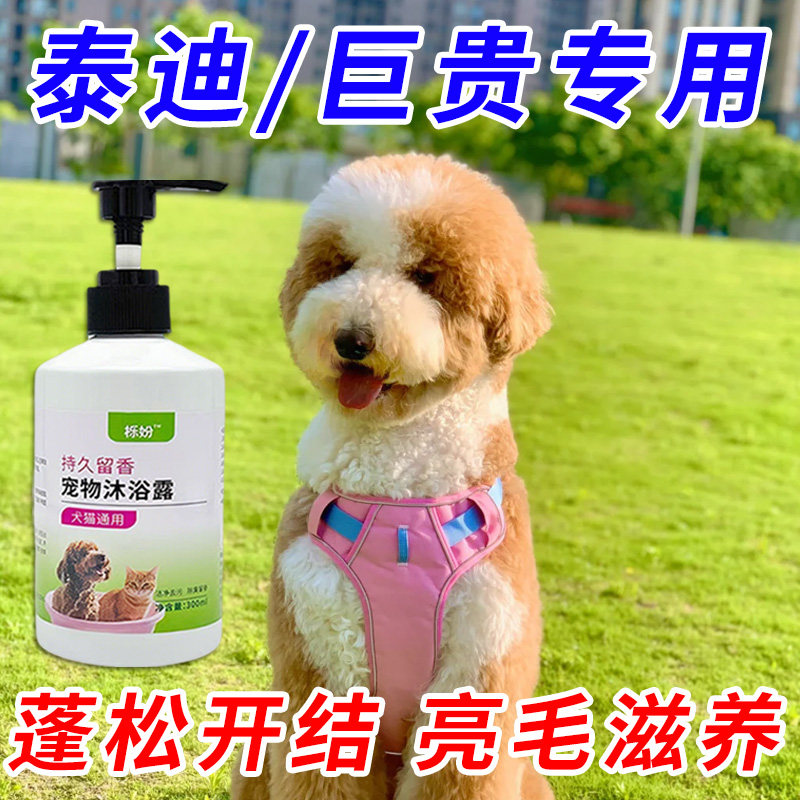 巨贵犬专用沐浴露亮白去黄狗狗白毛犬沐浴液宠物狗清洁用品香波