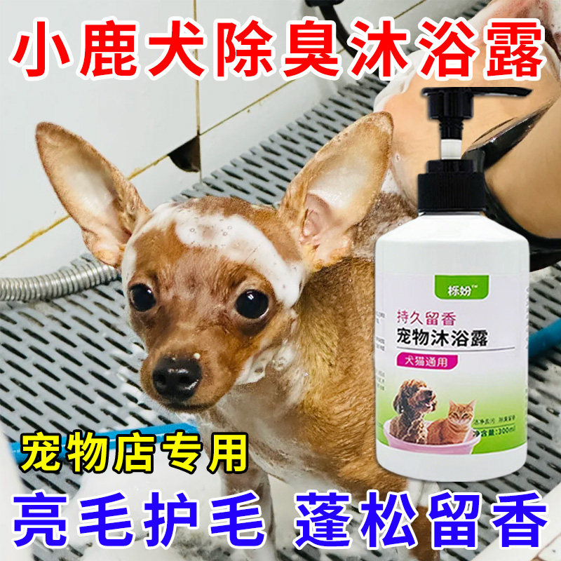 小鹿犬专用沐浴露亮白去黄狗狗白毛犬沐浴液宠物狗清洁用品香波