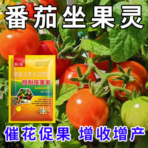 番茄授粉座果精无需粘花催花坐果灵茄瓜授粉露保花保果专用剂