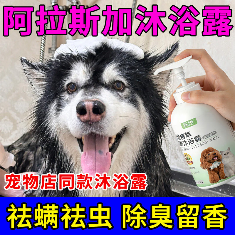 阿拉斯加专用清洗液除臭持久留香柔顺蓬松洗澡用狗狗专用沐浴露