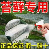 青苔去除剂水泥地面青苔墙面苔藓藻类青苔杀除清洁剂喷剂