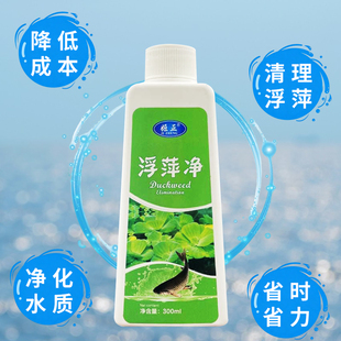 养殖不伤藕虾蟹圆心萍浮净化水质绿藻青苔水藻褐藻浮萍净