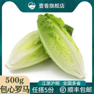 壹香 罗纹凯撒生菜新鲜沙拉蔬菜绿叶菜色拉食材 包心罗马生菜500g