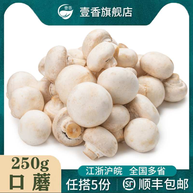 新鲜口蘑菇250g 现摘白蘑菇食用菌菇双孢菇煲汤火锅炒菜时令蔬菜 水产肉类/新鲜蔬果/熟食 新鲜松茸/菌菇 原图主图