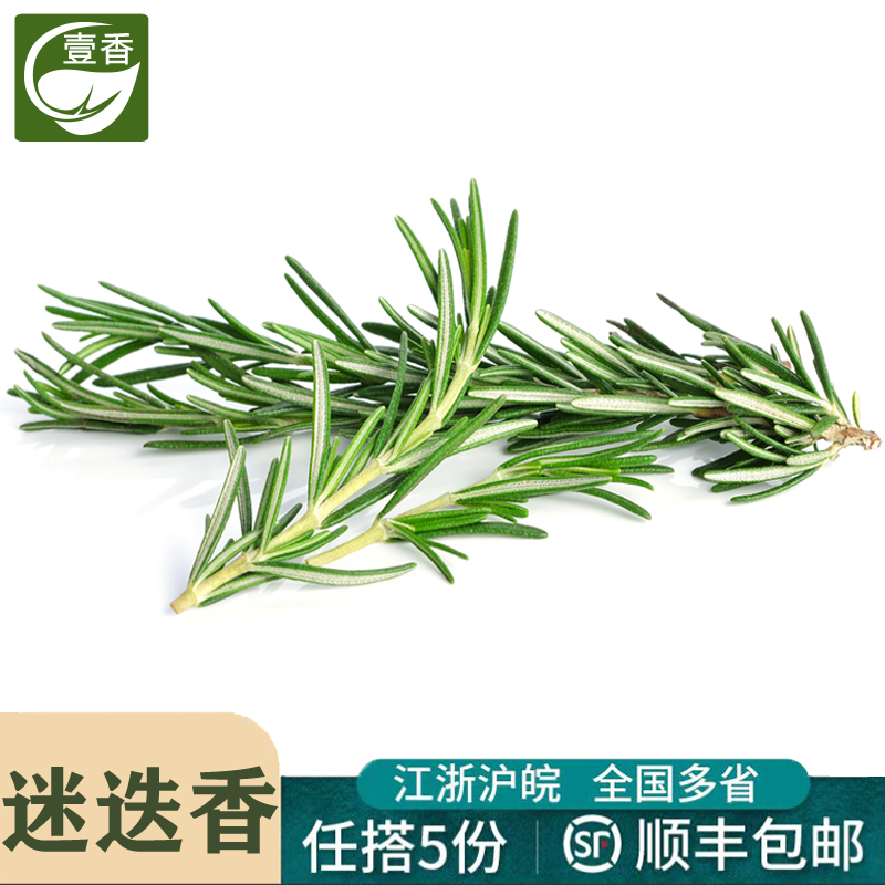 新鲜迷迭香西餐煎牛排烧烤香料