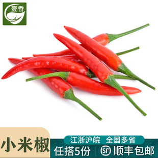 包邮 5件顺丰 新鲜蔬菜红辣椒特辣四川朝天椒小线椒 小米辣椒250g