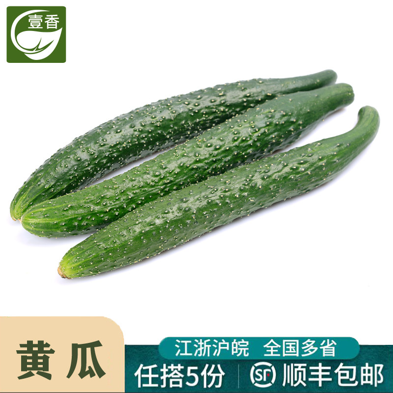 新鲜带刺黄瓜500g 大黄瓜长黄瓜水果黄瓜刺黄瓜生吃蔬菜沙拉食材,水产肉类/新鲜蔬果/熟食,黄瓜,淘宝优惠券,粉丝福利购,淘宝优惠卷