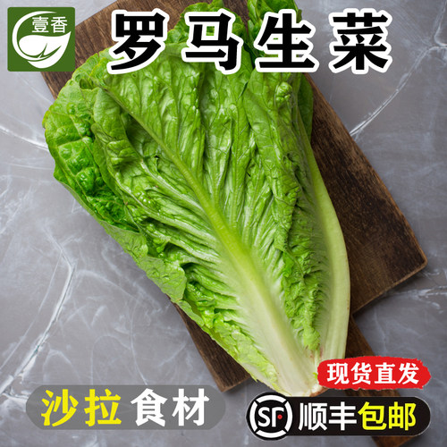 新鲜罗马生菜西餐沙拉蔬菜食材