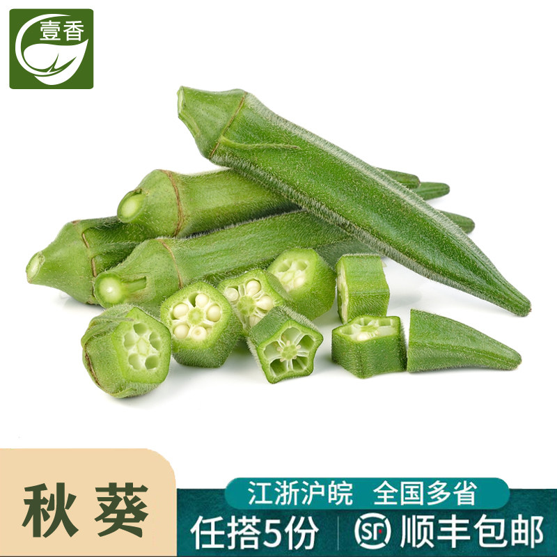 壹香 秋葵500g 水果黄秋葵 芝麻六角羊角豆 新鲜采摘农家蔬菜
