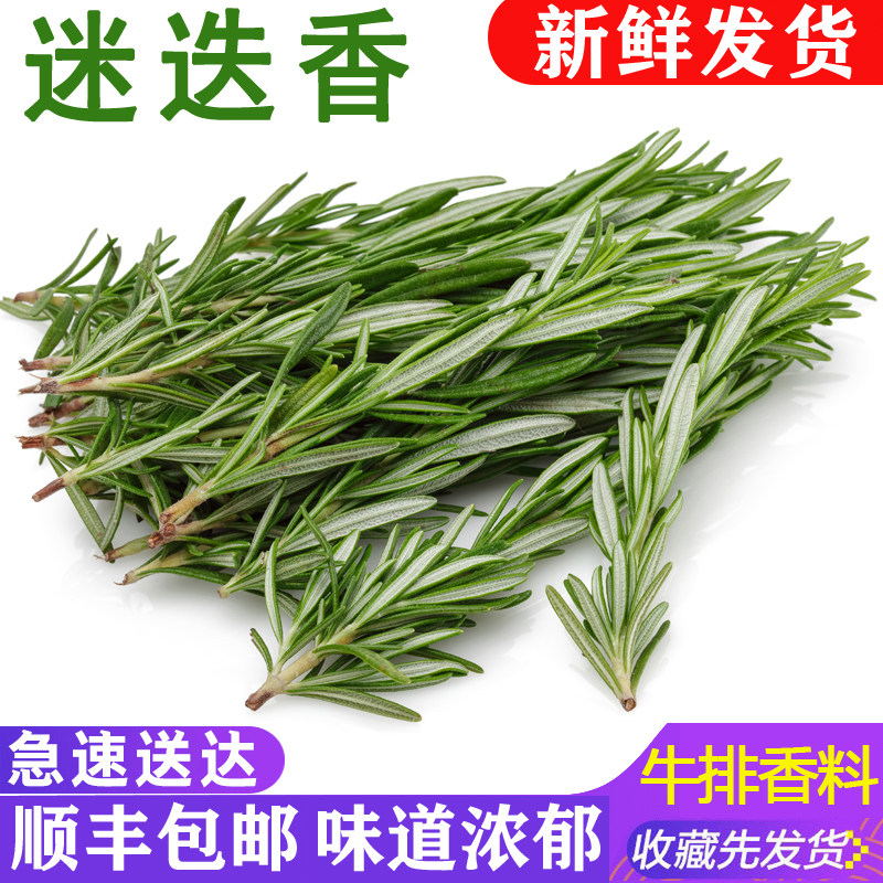 新鲜迷迭香西餐煎牛排烧烤食用香料调料烘焙蛋糕装饰摆盘迷迪失香