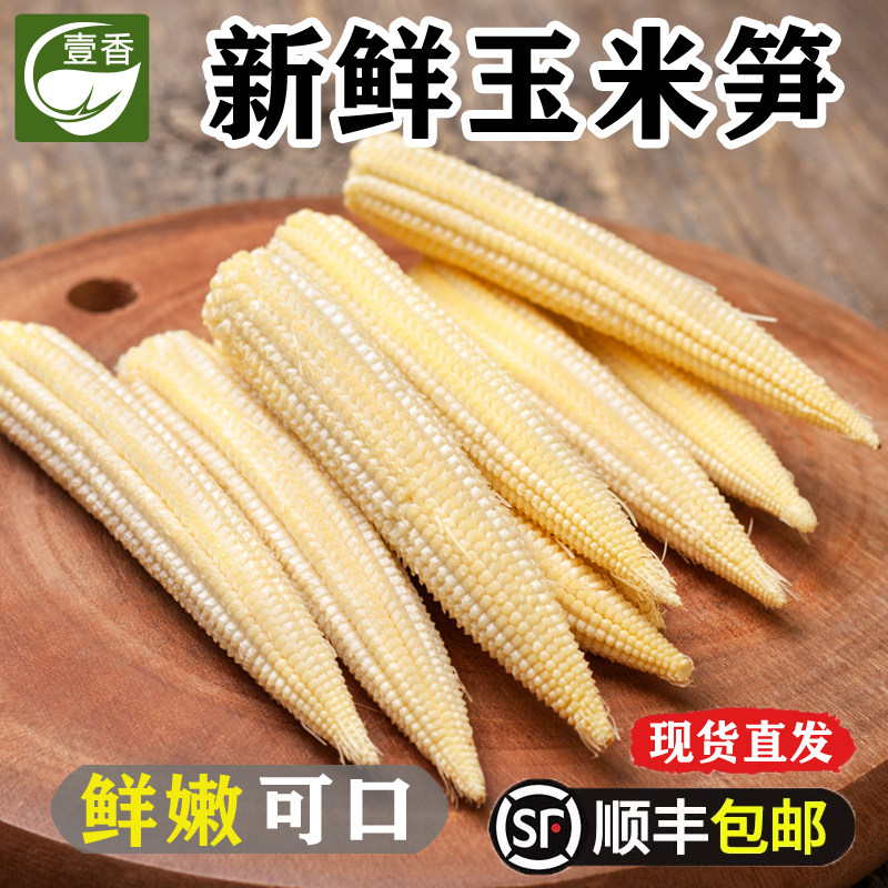 新鲜玉米笋 去皮玉米芯迷你甜小玉米笋水果嫩玉米棒煲汤蔬菜食材