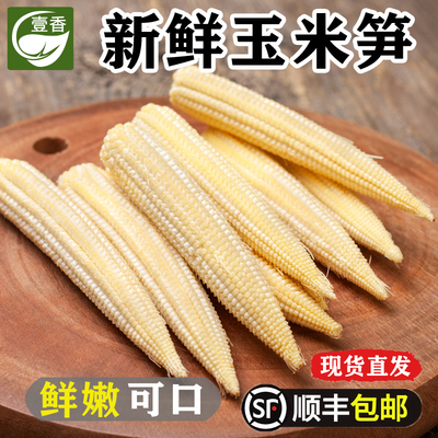 新鲜玉米笋 去皮玉米芯迷你甜小玉米笋水果嫩玉米棒煲汤蔬菜食材