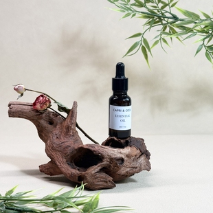 新中式沉木造景拍照道具玉石手串静物摄影枯木树枝木头装饰摆件