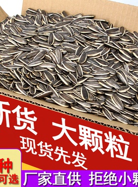 生瓜子葵花籽新货内蒙古大颗粒毛嗑瓜子现炒原味散装炒货1-5斤